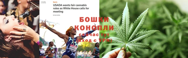 тгк Богданович