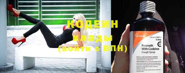 сатива Вяземский