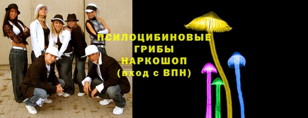 твердый Верея