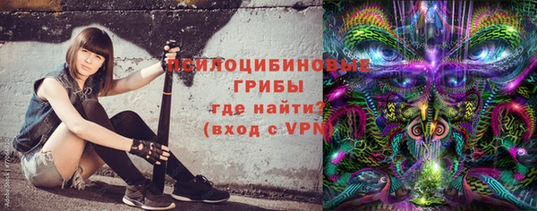 a pvp Володарск